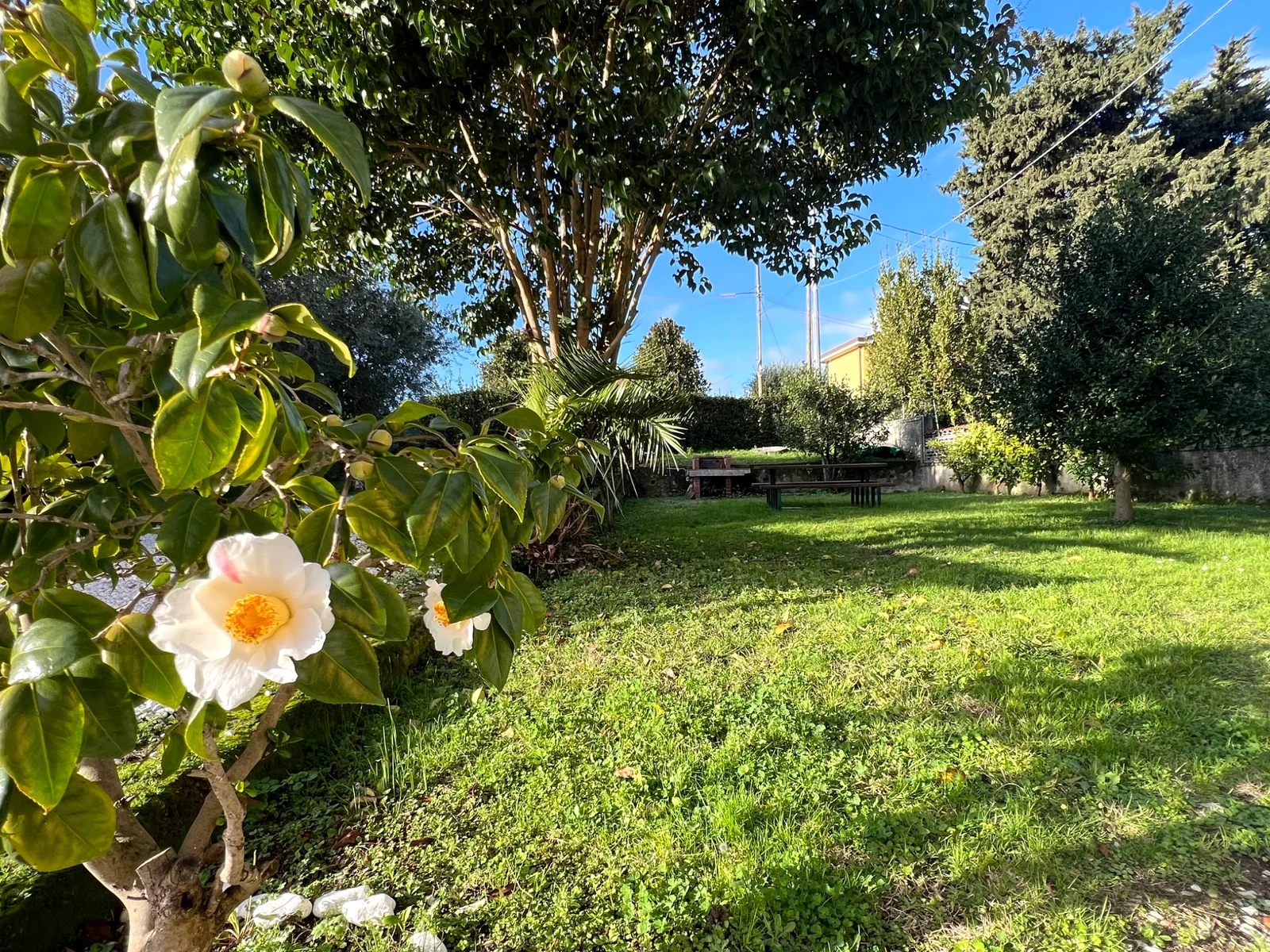 Garden at Villa Versilia